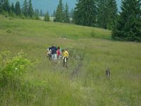 walking in the mountains